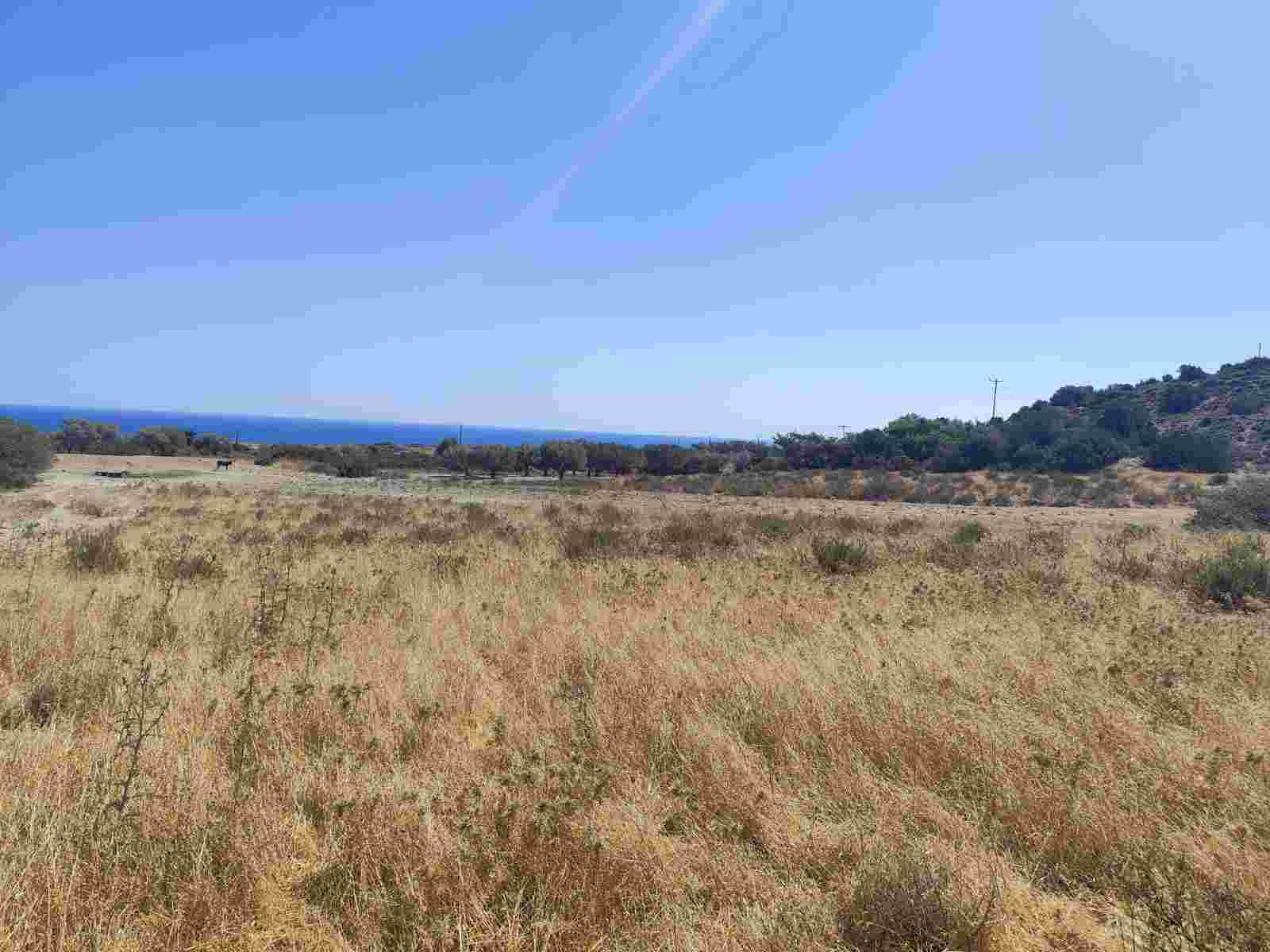 photo0