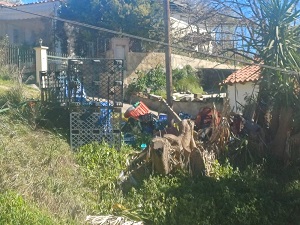 photo0