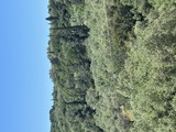 Αγροτεμάχιο  σε πλειστηριασμό Δήμος Ηγουμενίτσας