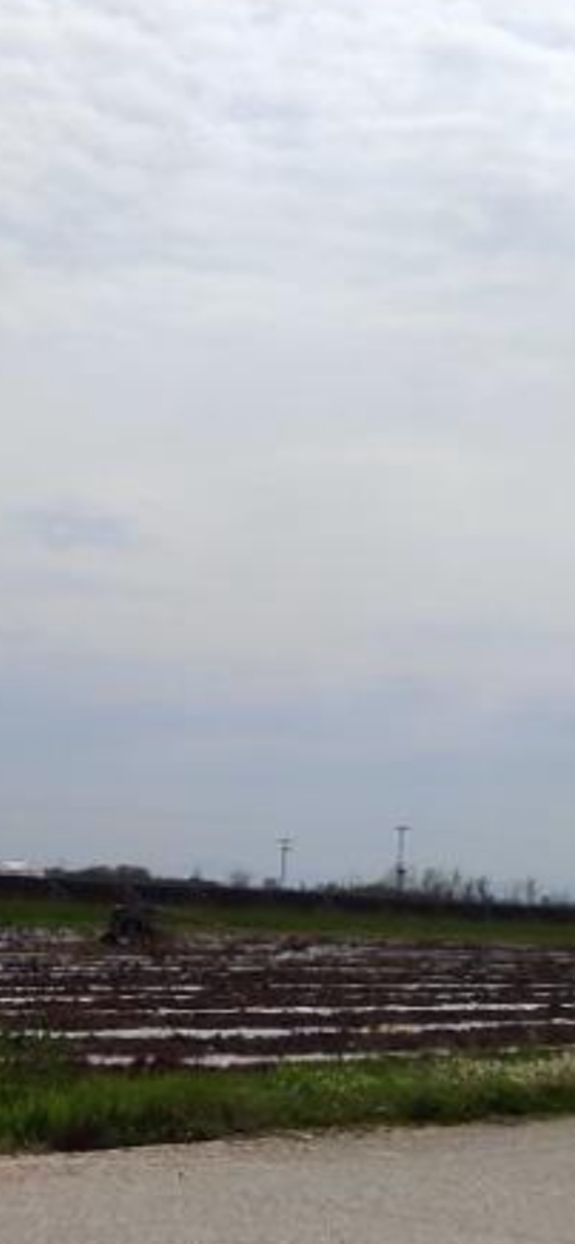 photo6