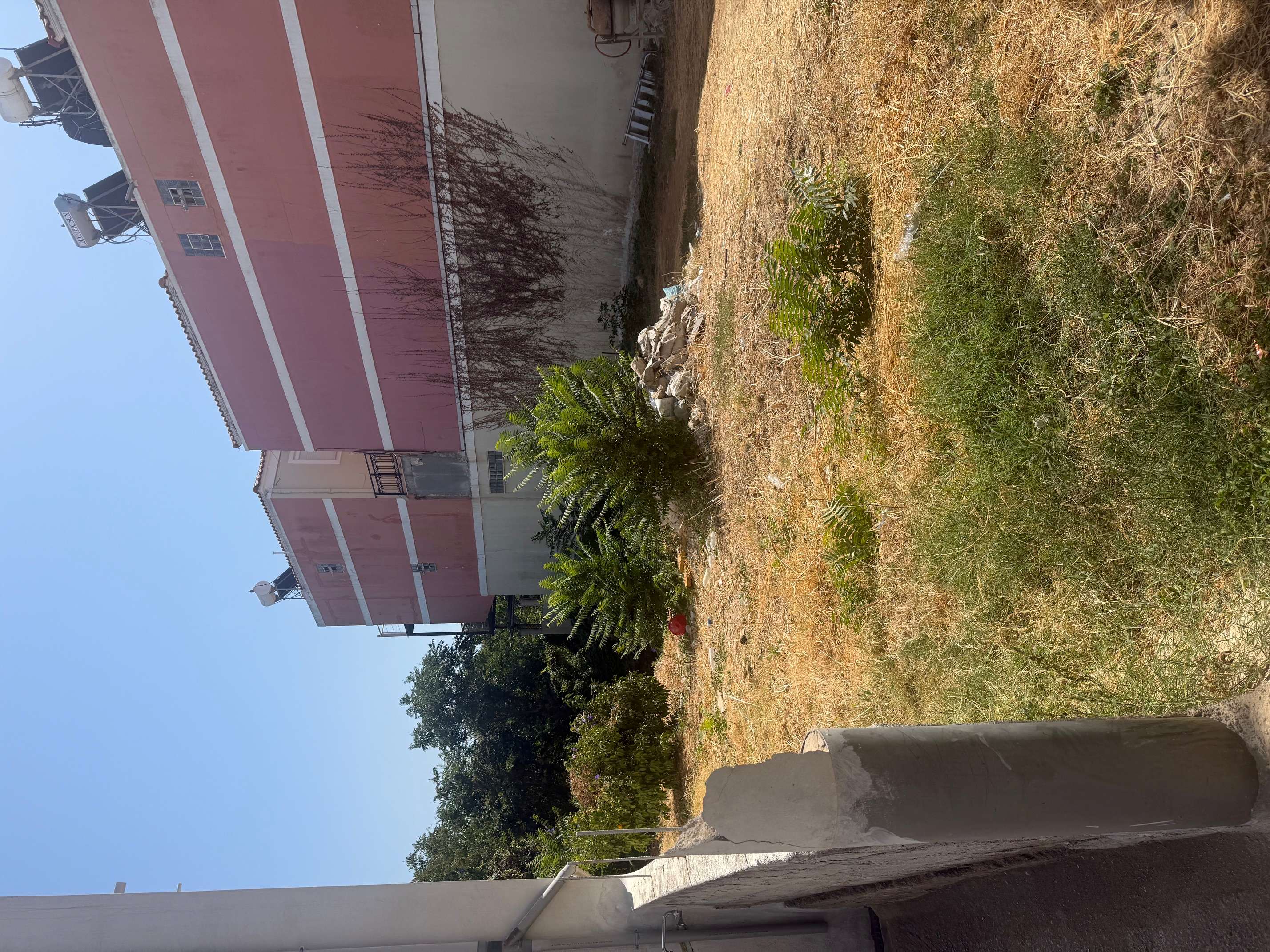 photo0