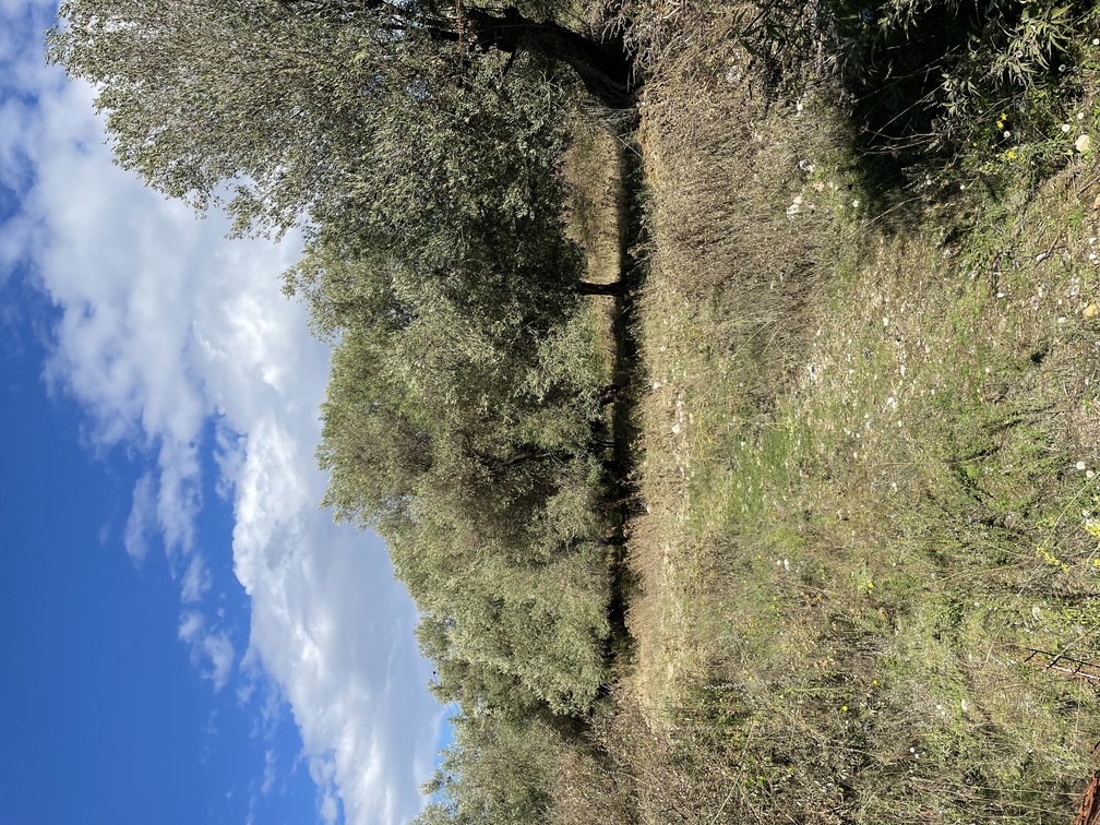 Οικόπεδο  σε πλειστηριασμό Δήμος Ηγουμενίτσας