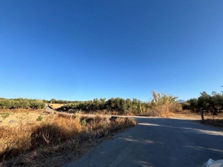 photo0