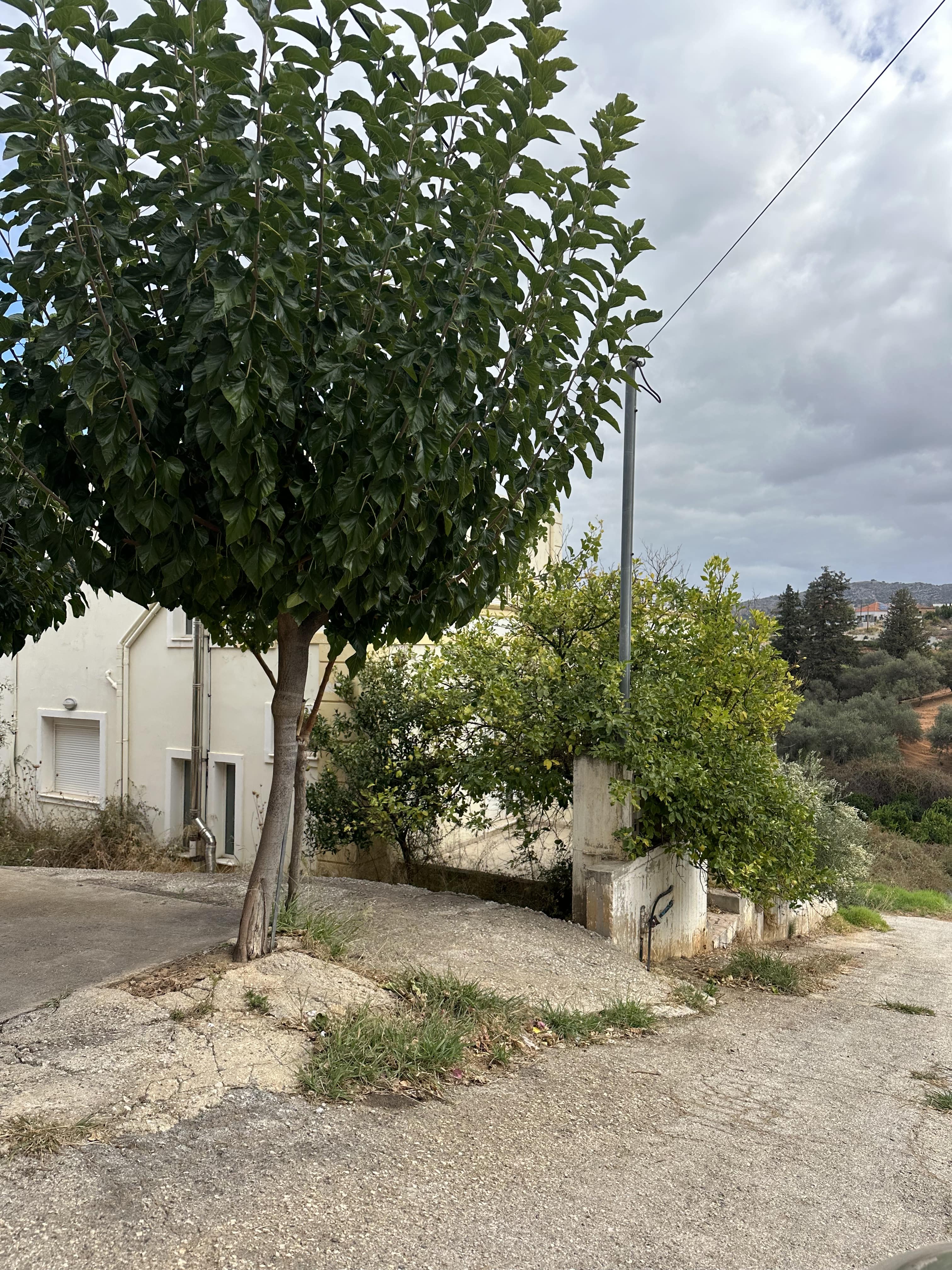 Οικόπεδο με κτίσμα  σε πλειστηριασμό Δήμος Χανίων