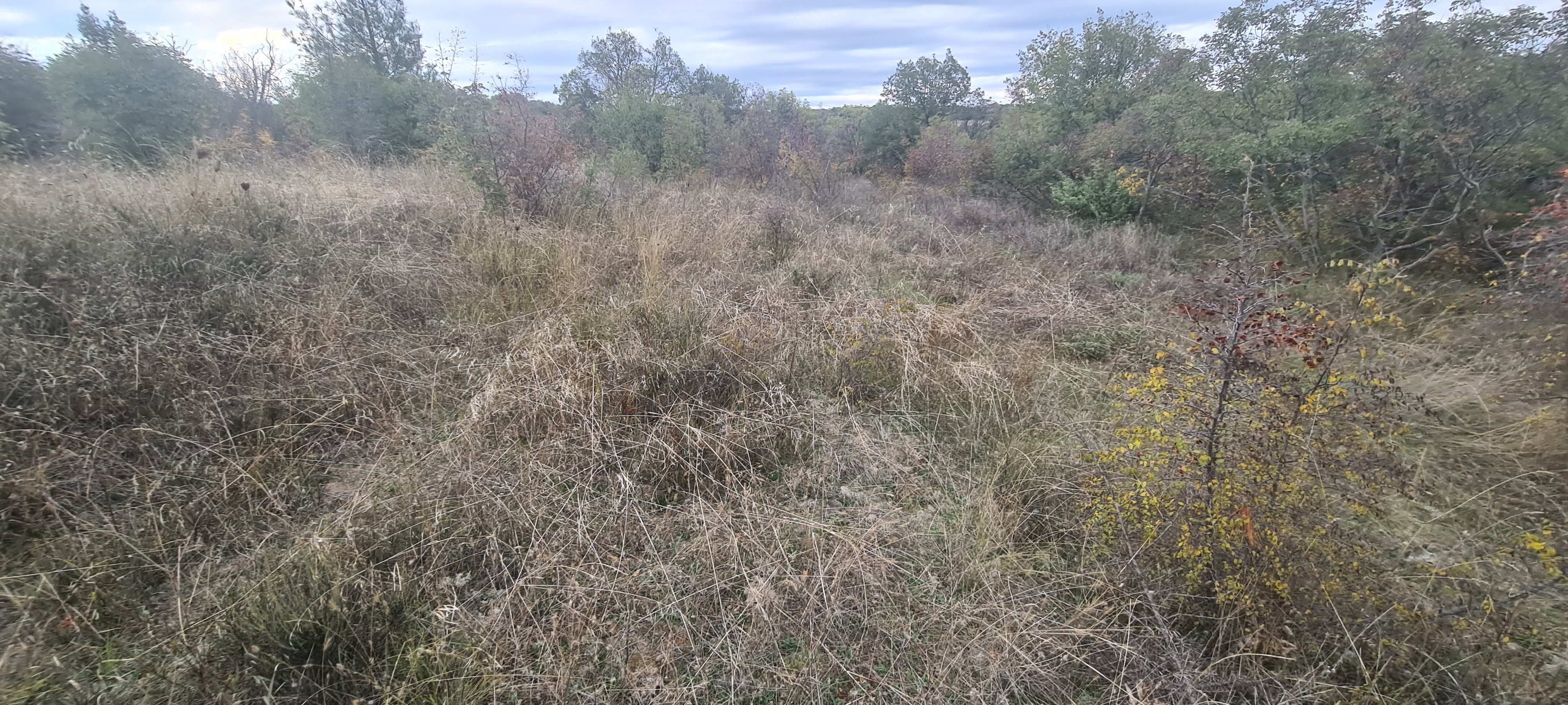 Αγροτεμάχιο 3000 τ.μ. σε πλειστηριασμό Δήμος Σουφλίου