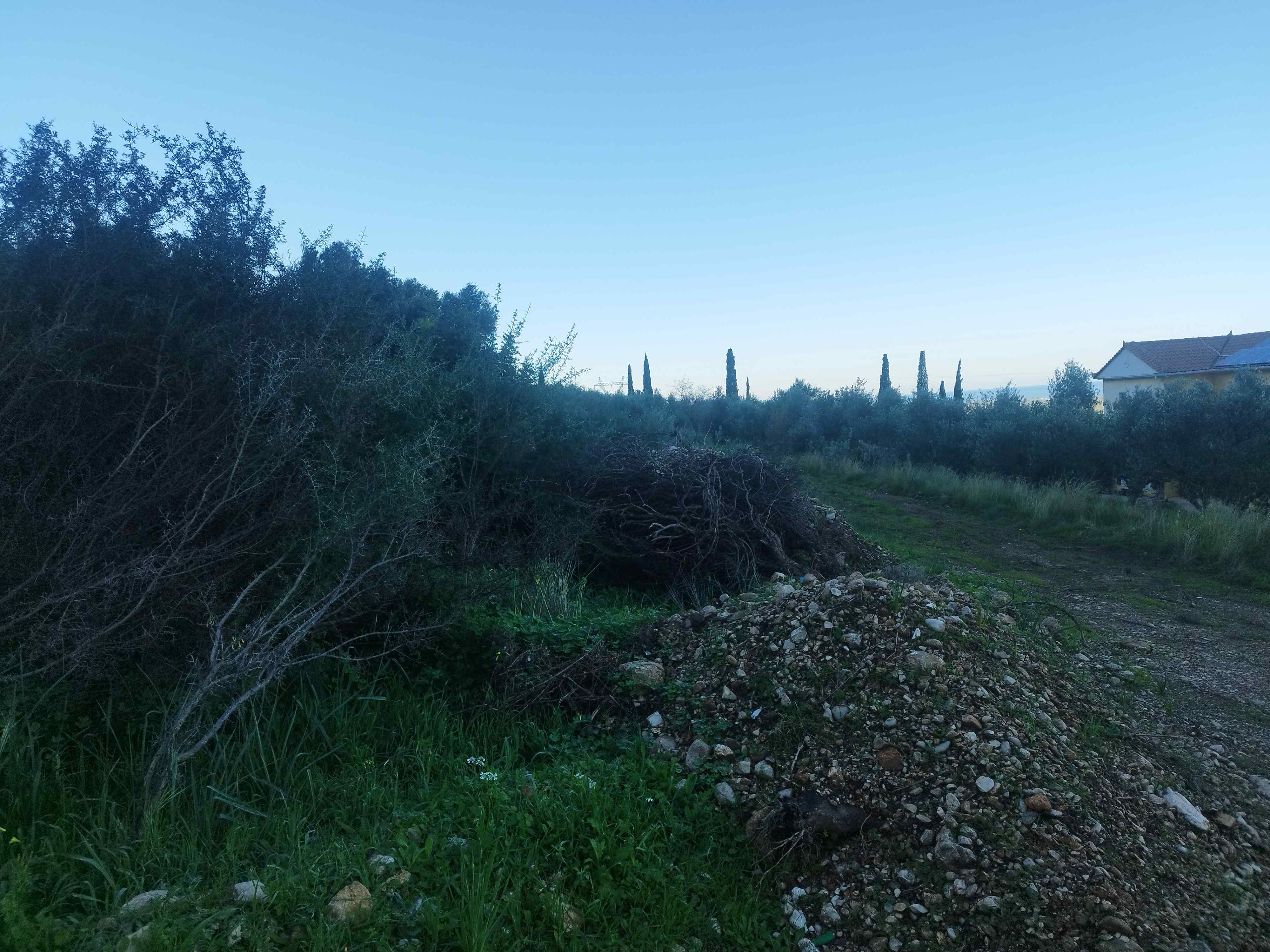 Οικόπεδο  σε πλειστηριασμό Δήμος Τριφυλίας