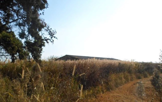Αγροτεμάχιο με κτίσμα  σε πλειστηριασμό Delta Municipality