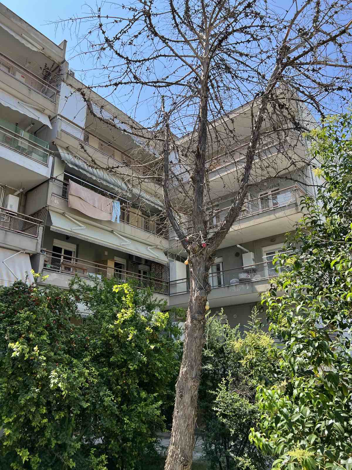 Κατοικία  σε πλειστηριασμό Δήμος Καλαμαριάς