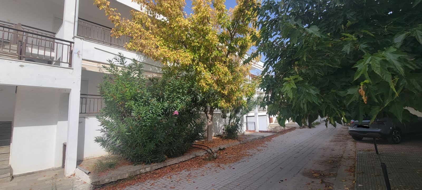 Θέση Στάθμευσης (parking)  σε πλειστηριασμό Δήμος Σιθωνίας