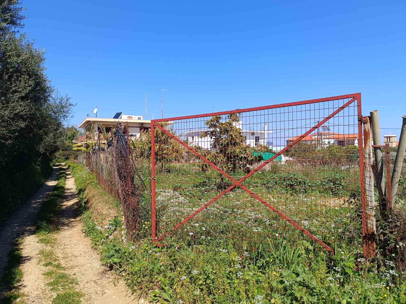 Αγροτεμάχιο 1000 sq.m. σε πλειστηριασμό Municipality of Andravida - Kyllini