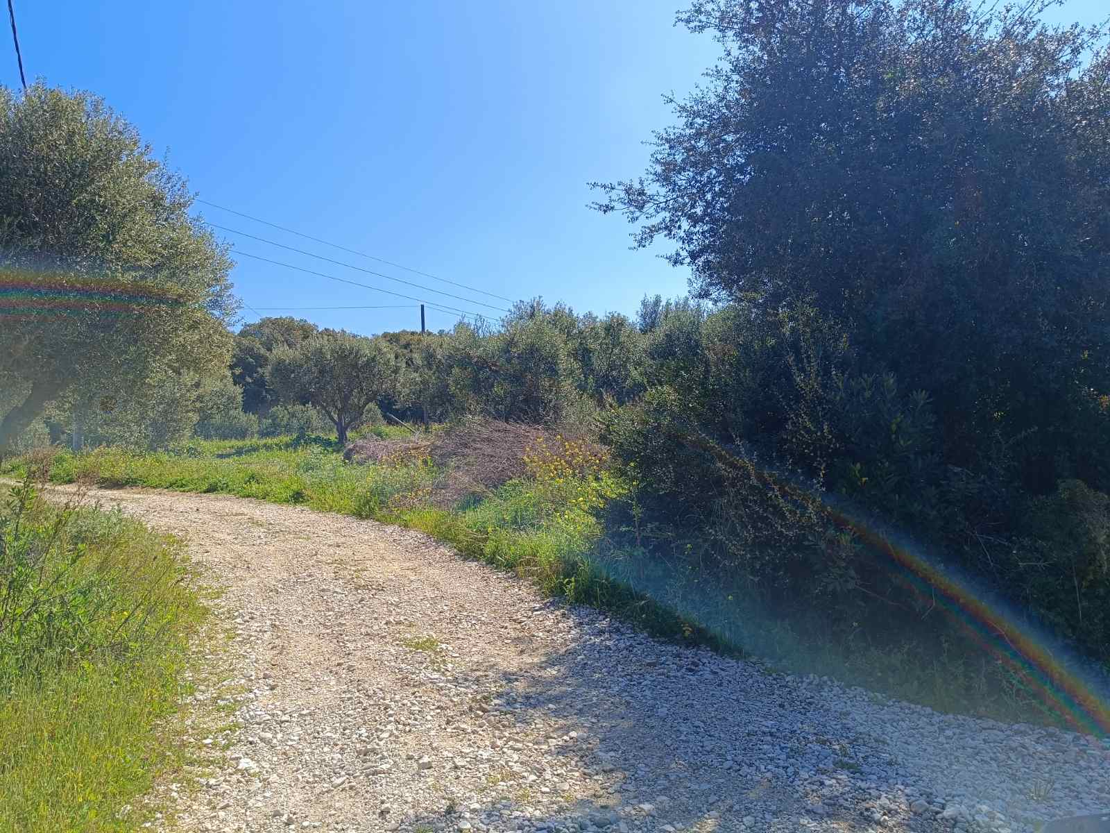 Αγροτεμάχιο  σε πλειστηριασμό Δήμος Ανδραβίδας - Κυλλήνης