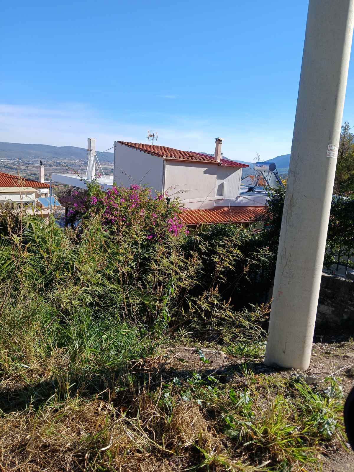 Αγροτεμάχιο με κτίσμα  σε πλειστηριασμό Δήμος Ωρωπού