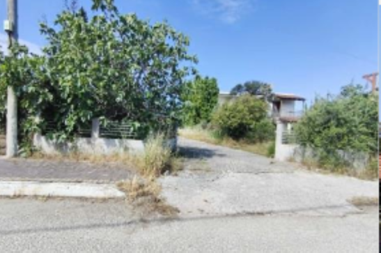 Αγροτεμάχιο με κτίσμα  σε πλειστηριασμό Δήμος Ζαχάρως