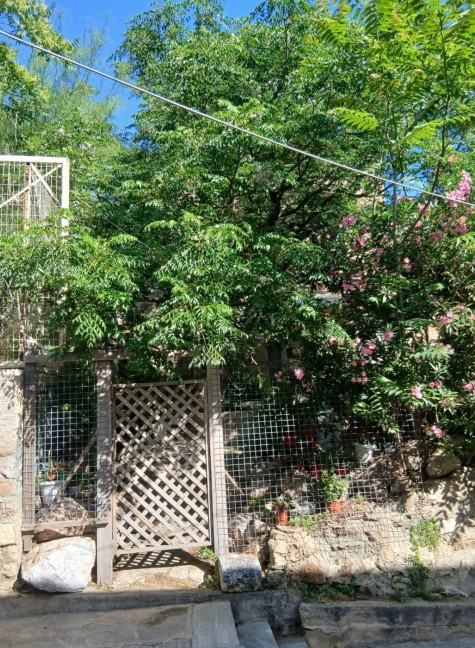photo1