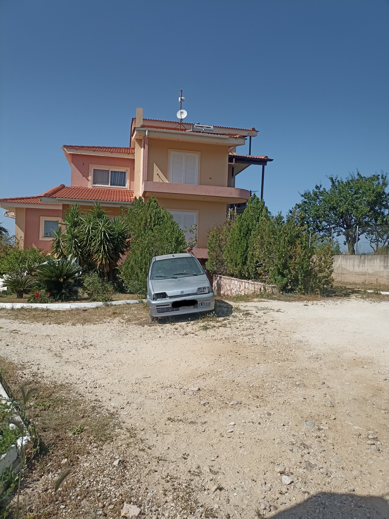 photo1