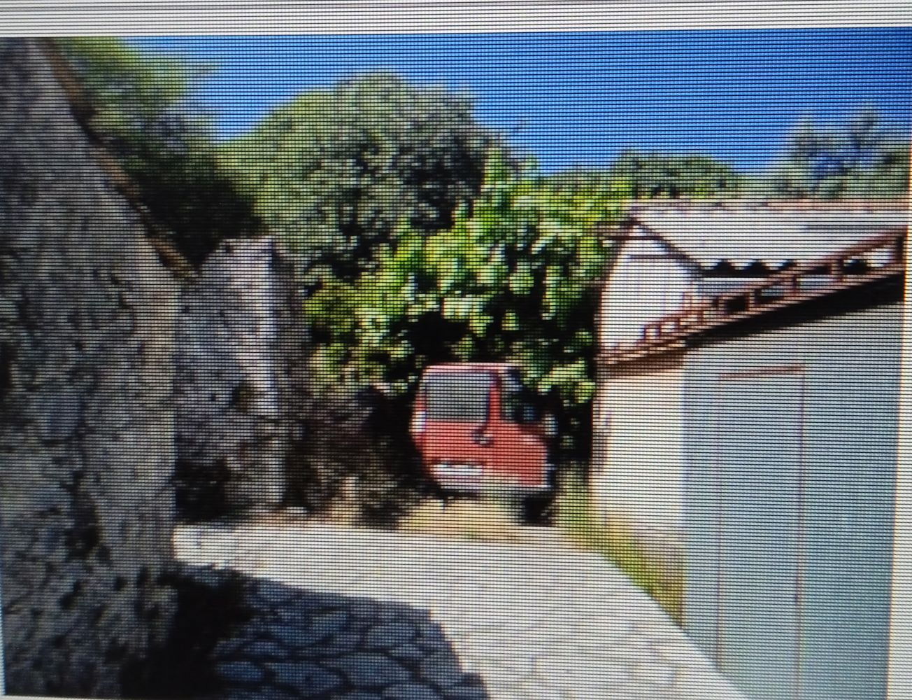 photo1
