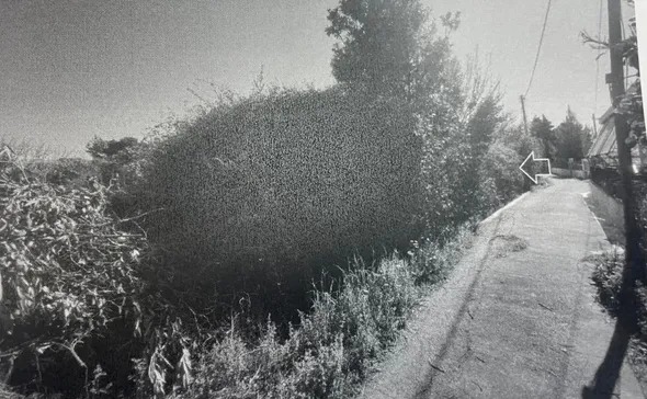 Οικόπεδο 209.16 τ.μ. σε πλειστηριασμό Δήμος Αιγιαλείας