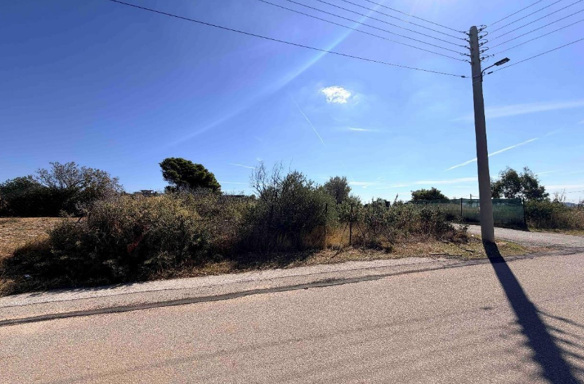 Οικόπεδο  σε πλειστηριασμό Municipality of Pallini