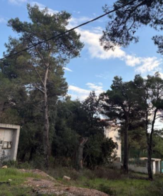 Οικόπεδο με κτίσμα  σε πλειστηριασμό Δήμος Ωρωπού