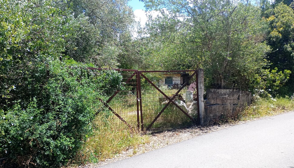 Αγροτεμάχιο  σε πλειστηριασμό Δήμος Κέρκυρας