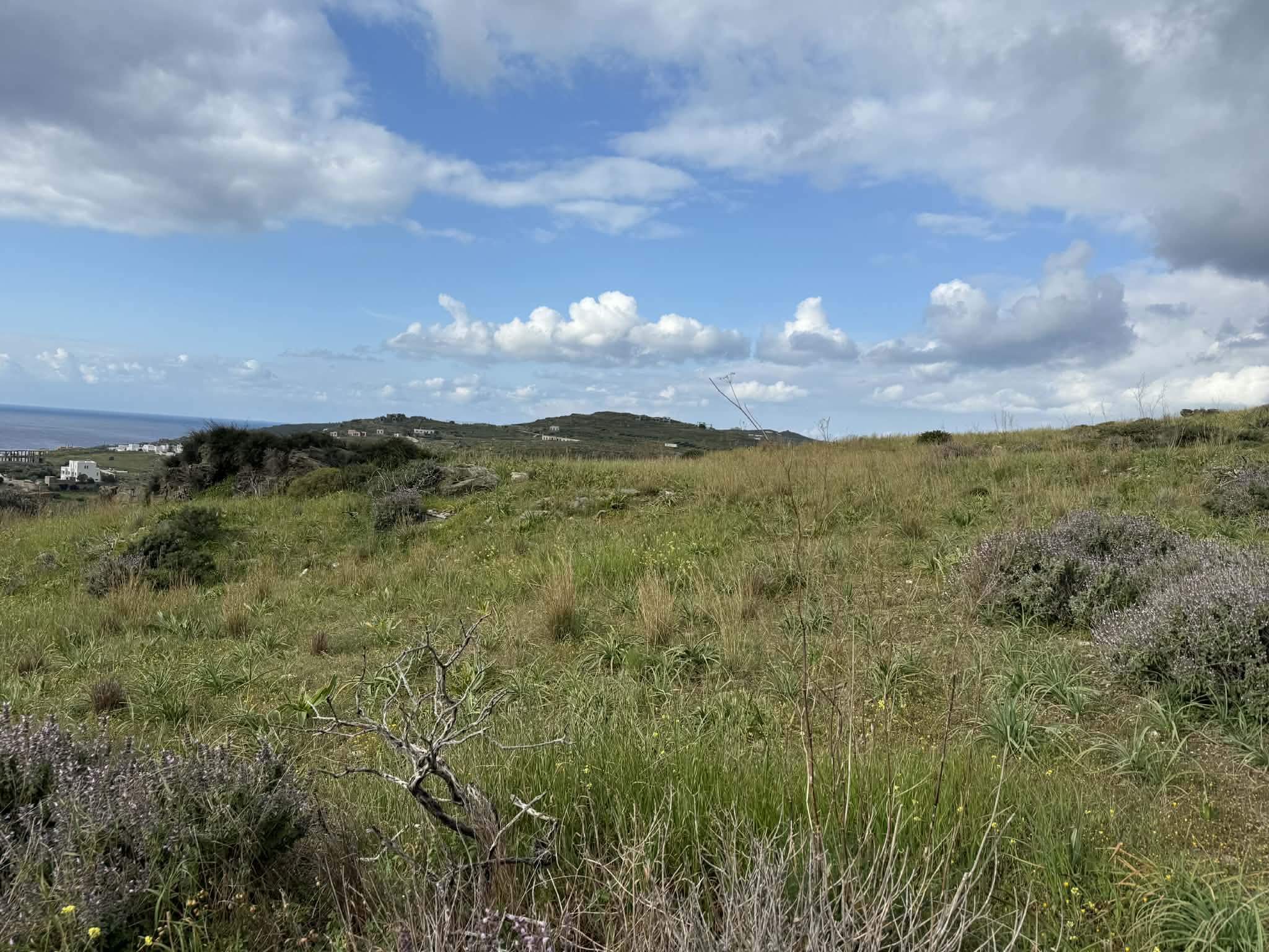 photo6