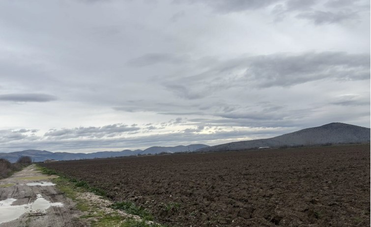 Αγροτεμάχιο 471 sq.m. σε πλειστηριασμό Municipality of Palamas