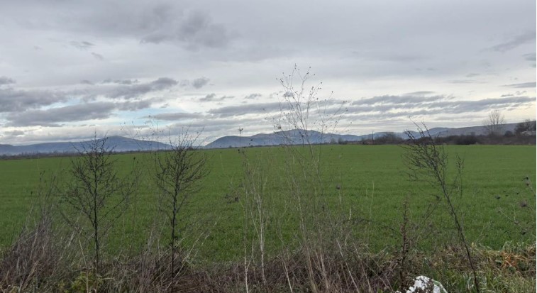 Αγροτεμάχιο 635 sq.m. σε πλειστηριασμό Municipality of Palamas