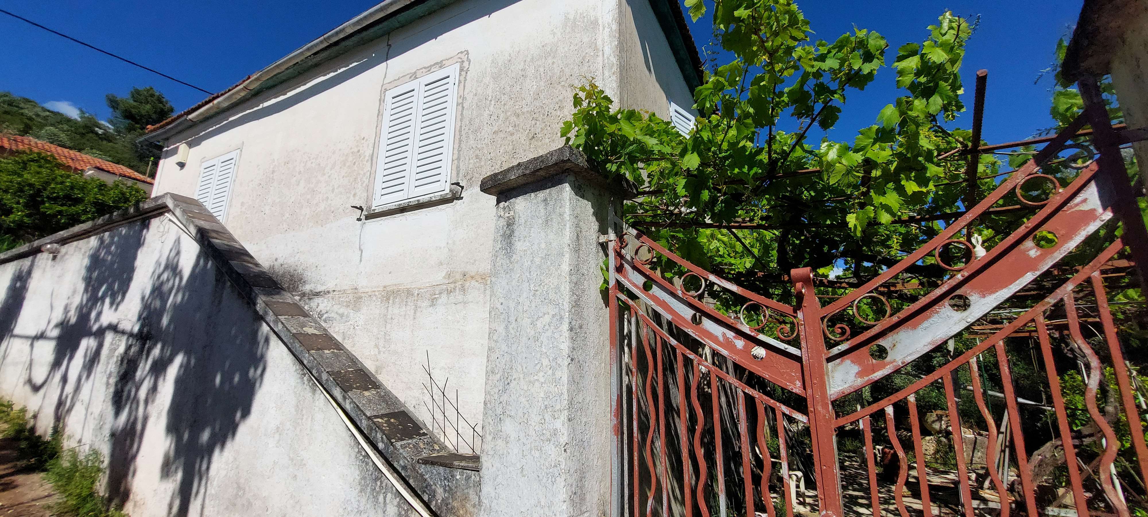 photo2