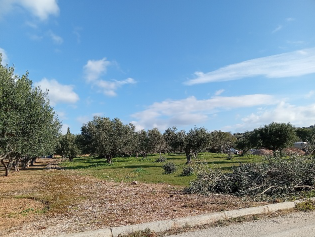 Οικόπεδο  σε πλειστηριασμό Municipality of Vari - Voula - Vouliagmeni