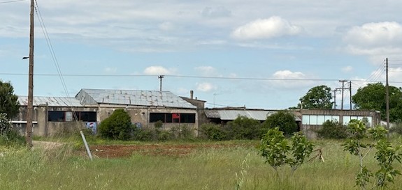 photo2