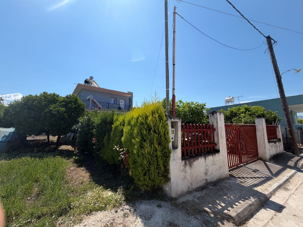 photo1