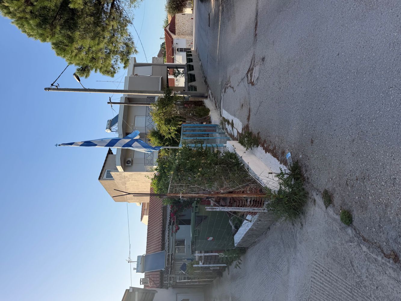 photo1