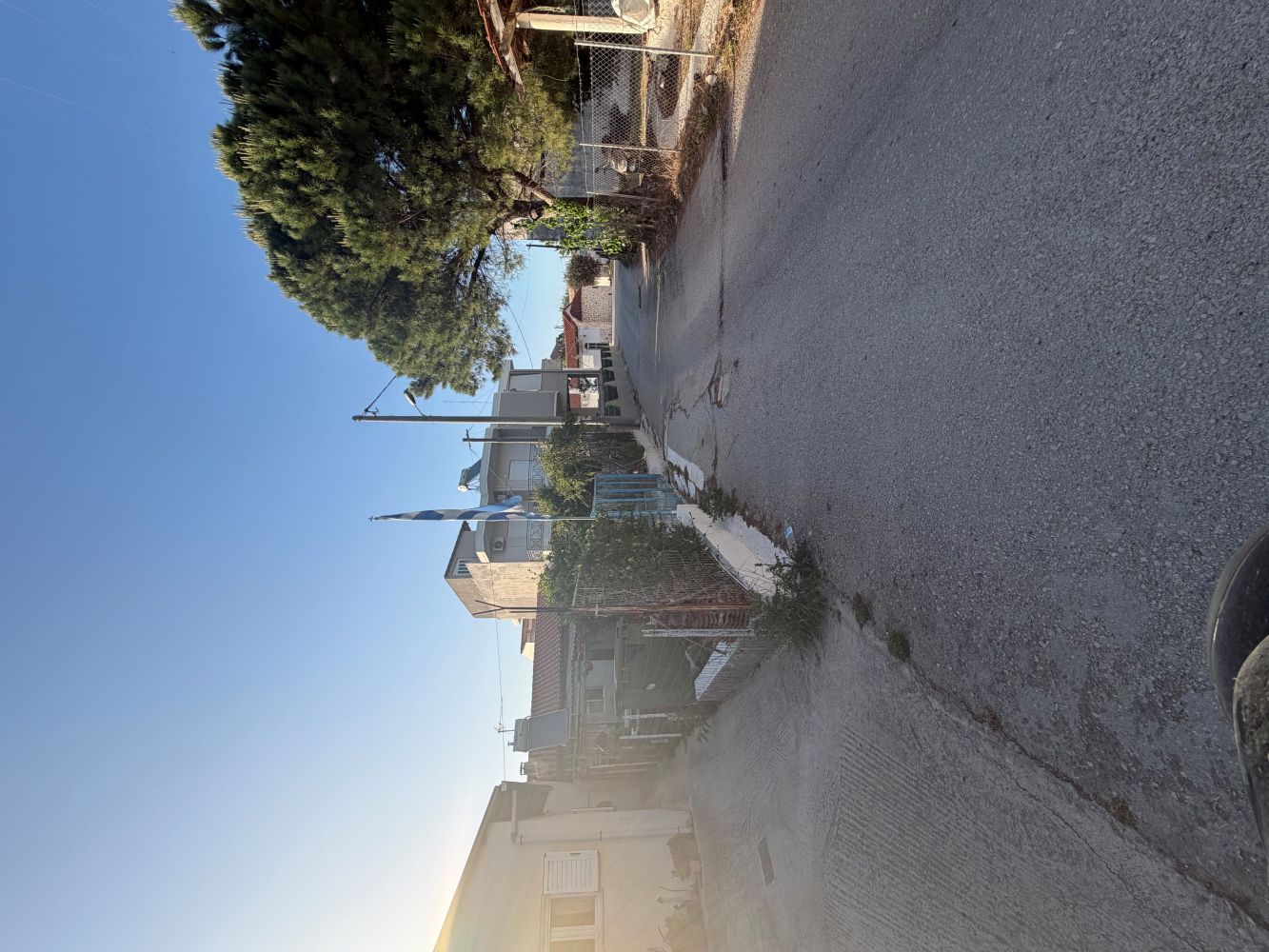 photo6