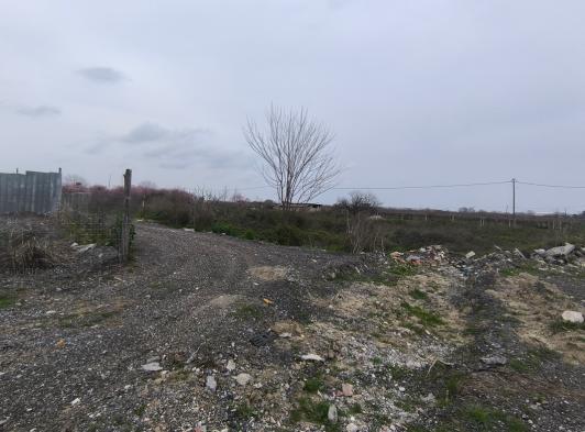 photo3