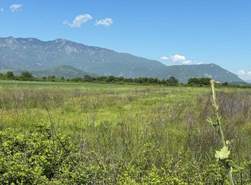 photo2