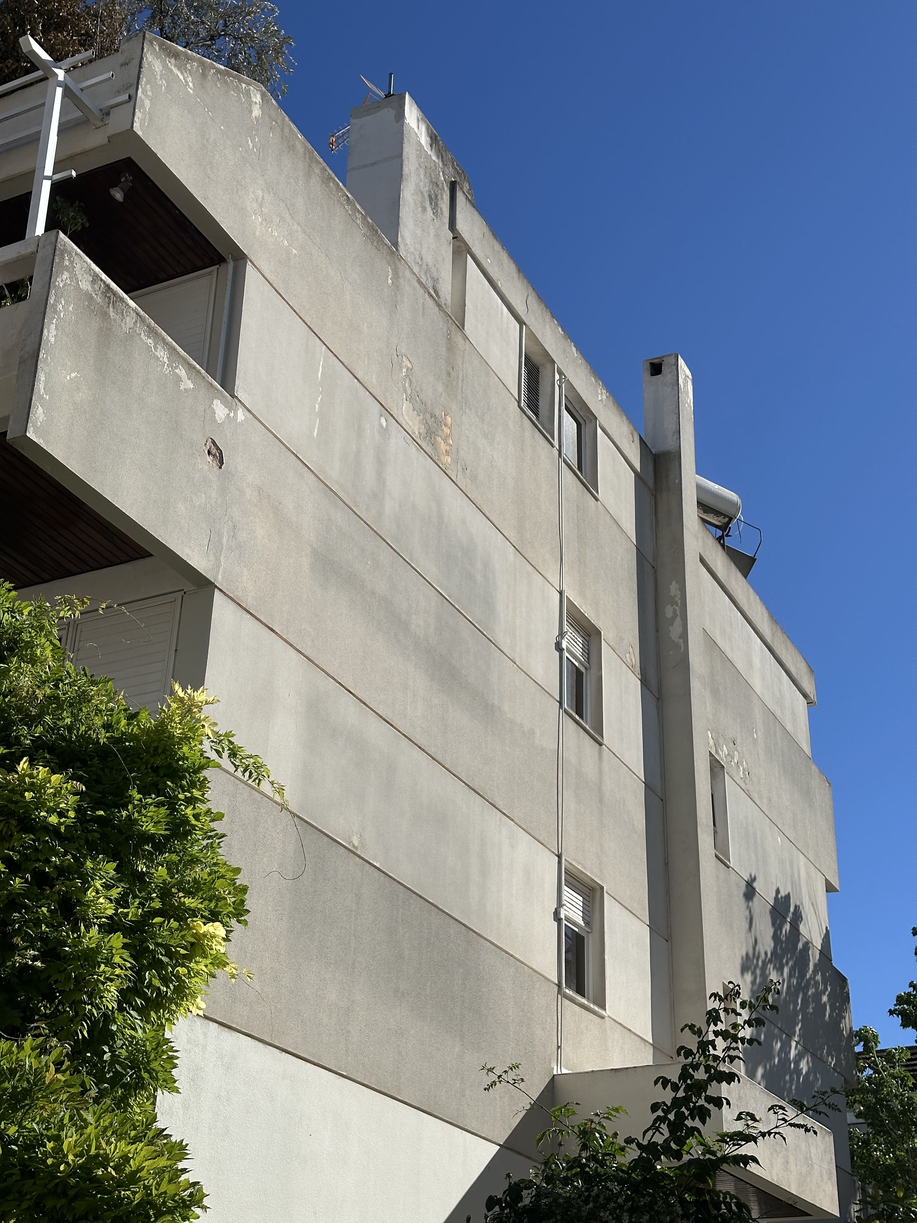photo1