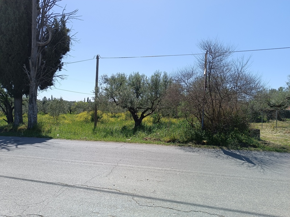 photo1