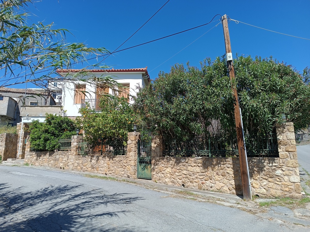 photo10