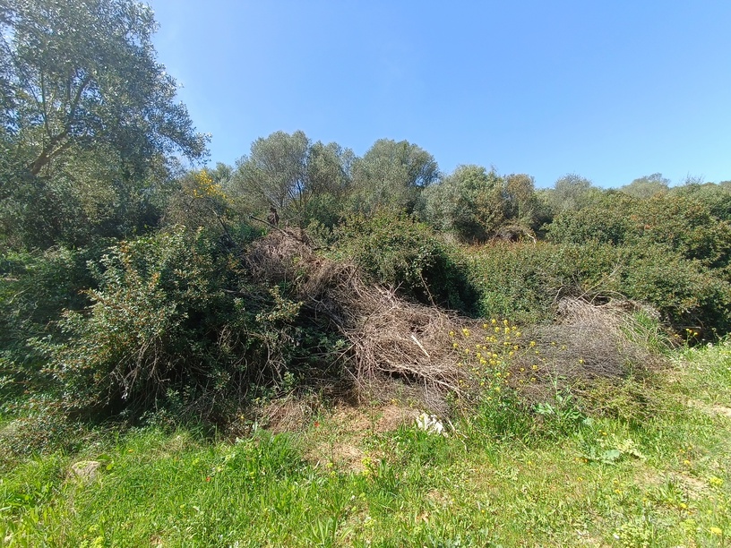 photo2
