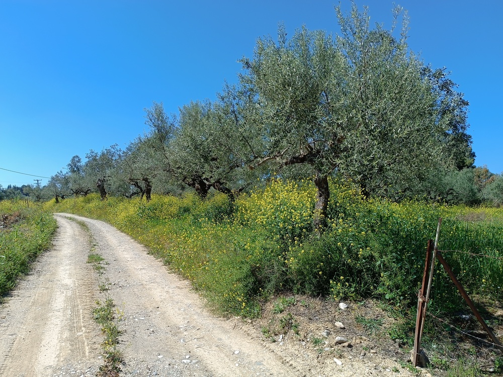 photo6