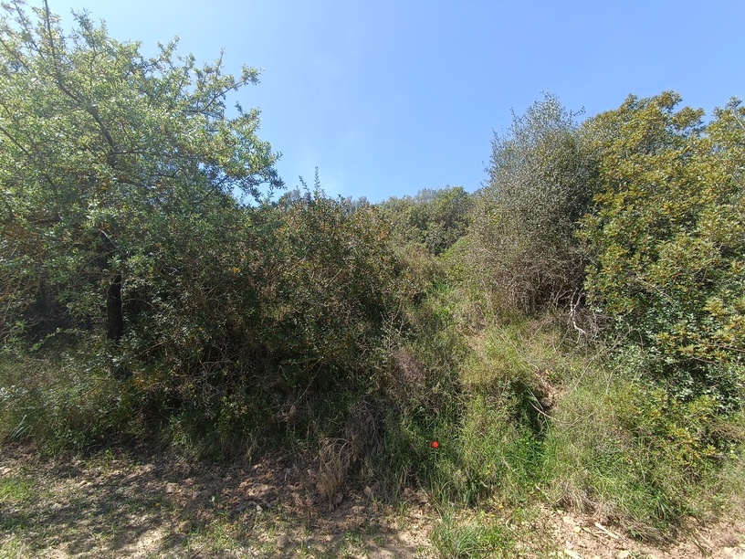 photo8