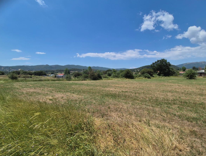 Οικόπεδο  σε πλειστηριασμό Municipality of Erymanthos