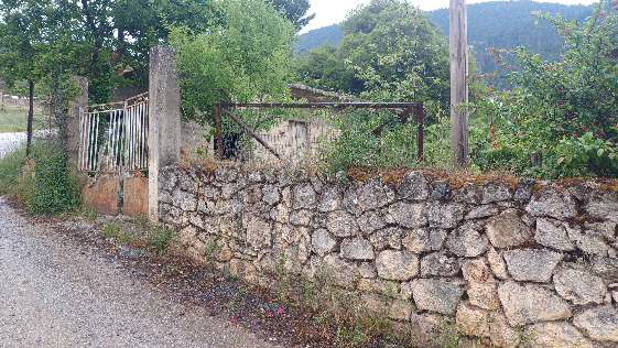 photo1