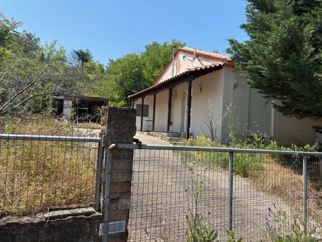 photo1