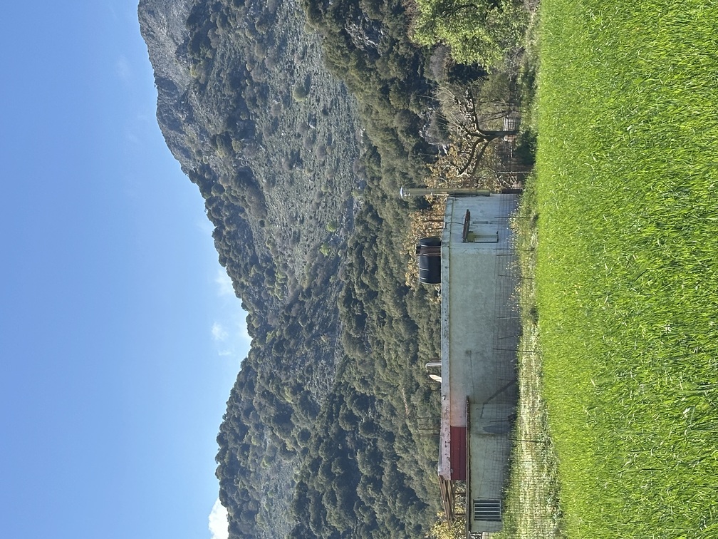 photo1