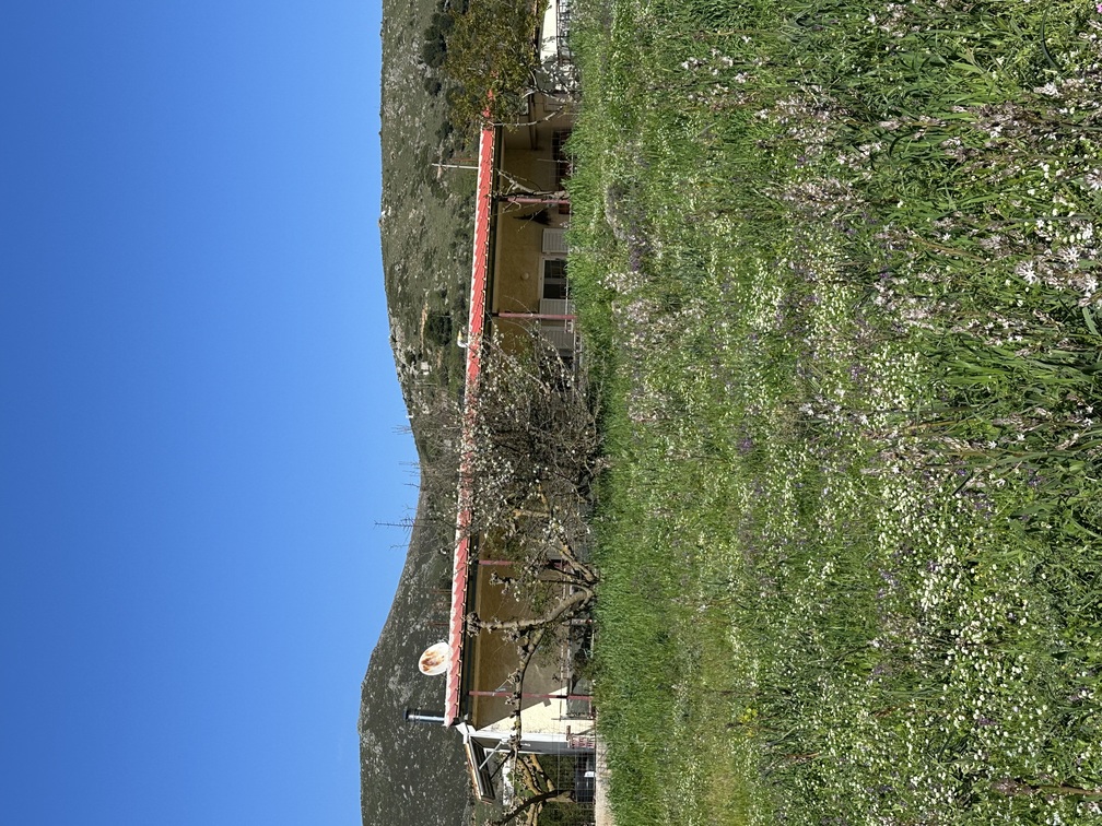 photo2