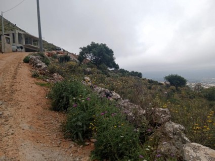 photo1