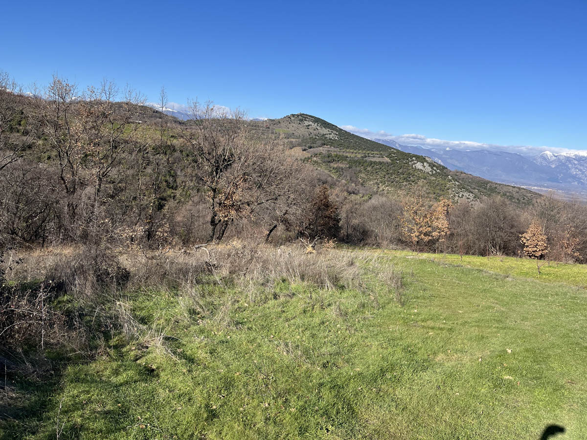 photo5