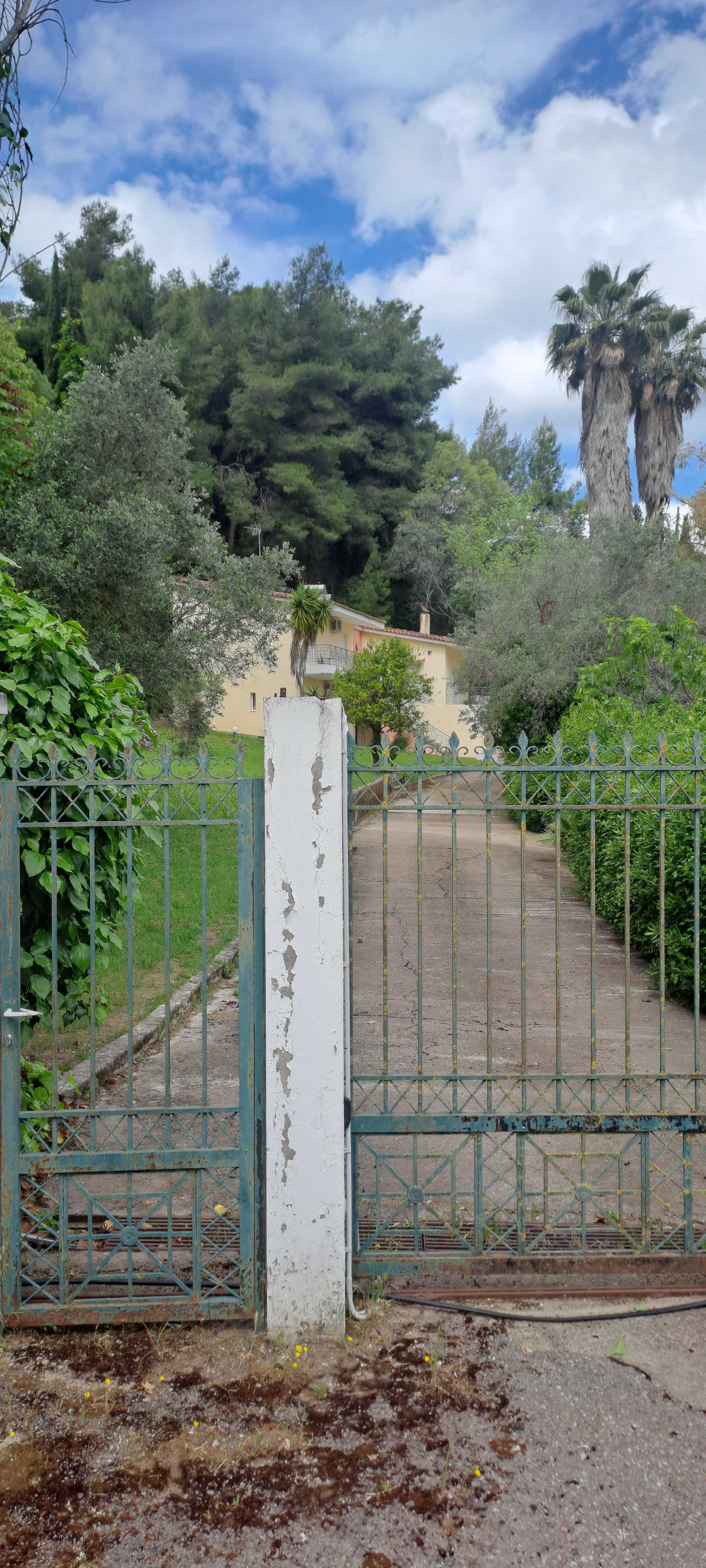 photo1