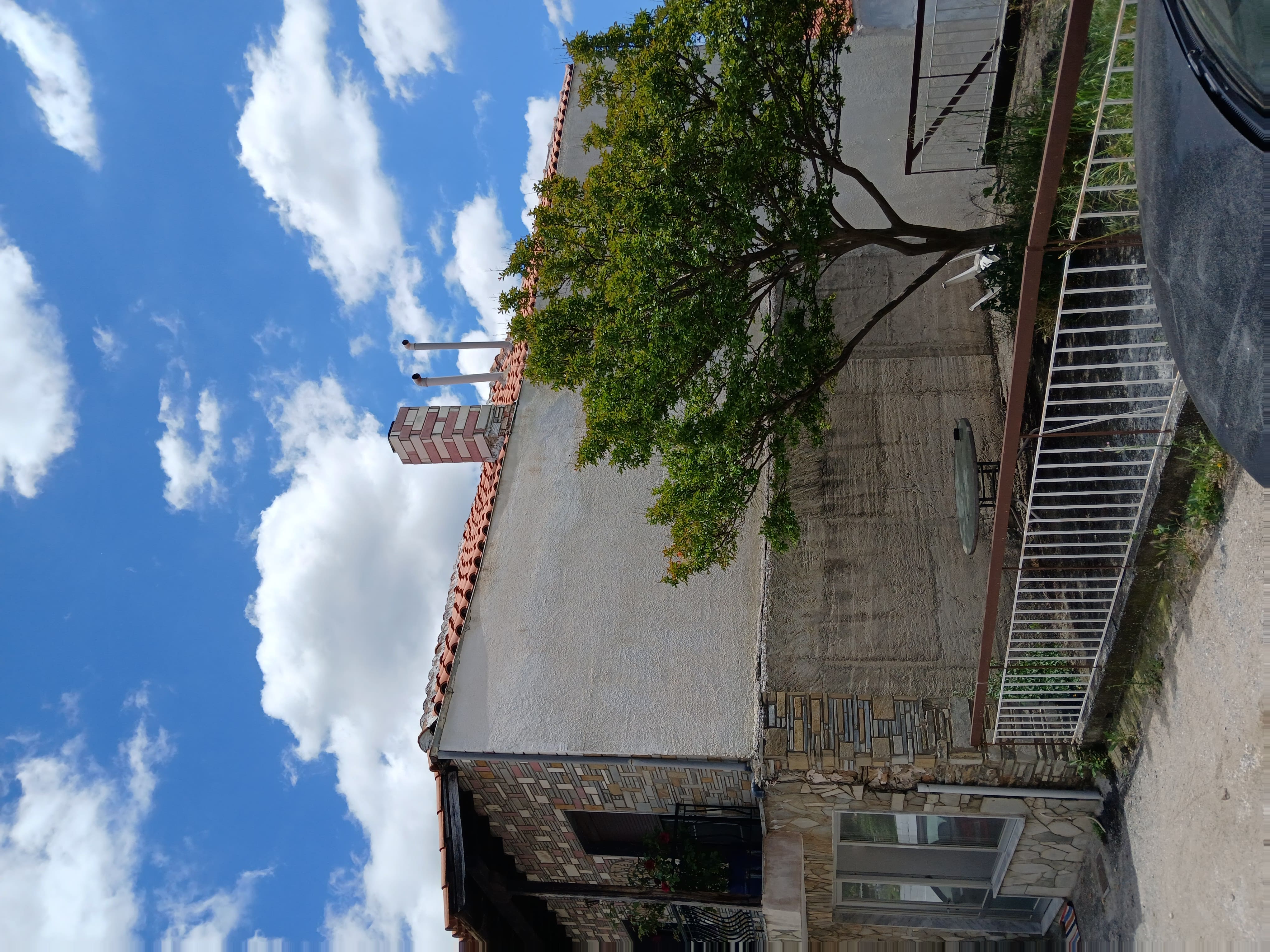 photo1